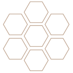 CCDI web icon Strategy